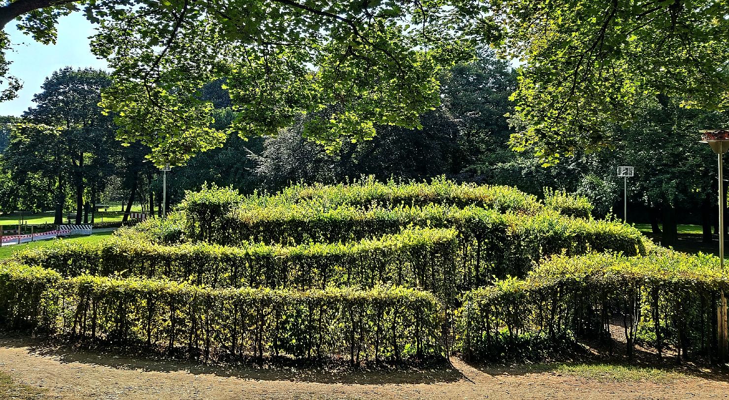Ein Hecken-Labyrinth im Münchner Luitpoldpark